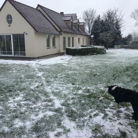 Ferienwohnung Au Coeur De La Flandre Noordpeene Exterior foto