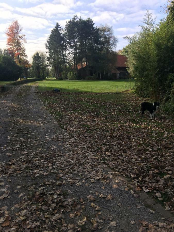 Ferienwohnung Au Coeur De La Flandre Noordpeene Exterior foto