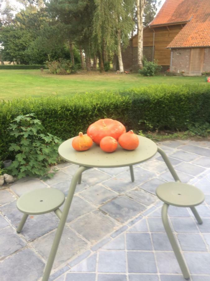 Ferienwohnung Au Coeur De La Flandre Noordpeene Exterior foto
